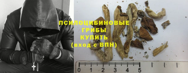 эйфоретик Арсеньев