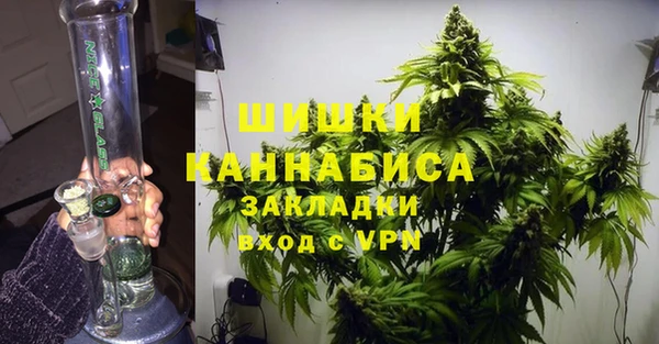эйфоретик Арсеньев