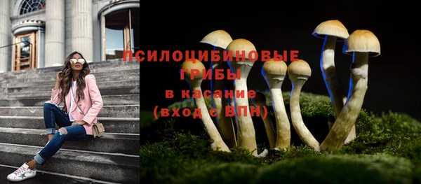 эйфоретик Арсеньев