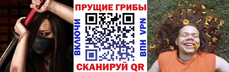 купить наркотики цена Качканар Псилоцибиновые грибы Magic Shrooms